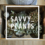 savvy_plants_image